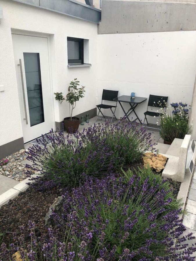 Ferienwohnung No.55 Lörrach Zewnętrze zdjęcie